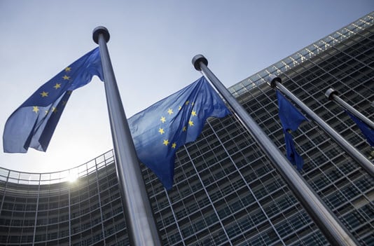 European Union flags in front of building