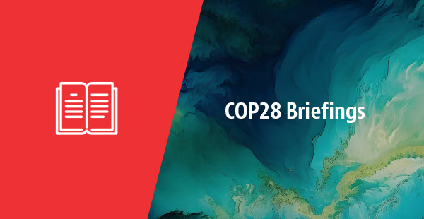 COP29 Hub: STEPS To Net Zero | Insight | Baker McKenzie