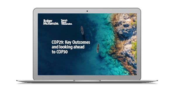 Laptop with COP29 Key Outcomes report on screen