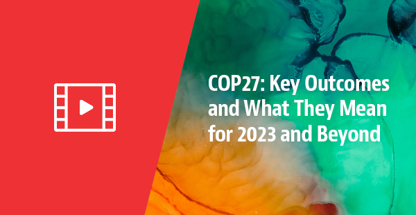 COP28 Hub: STEPS To Net Zero | Insight | Baker McKenzie